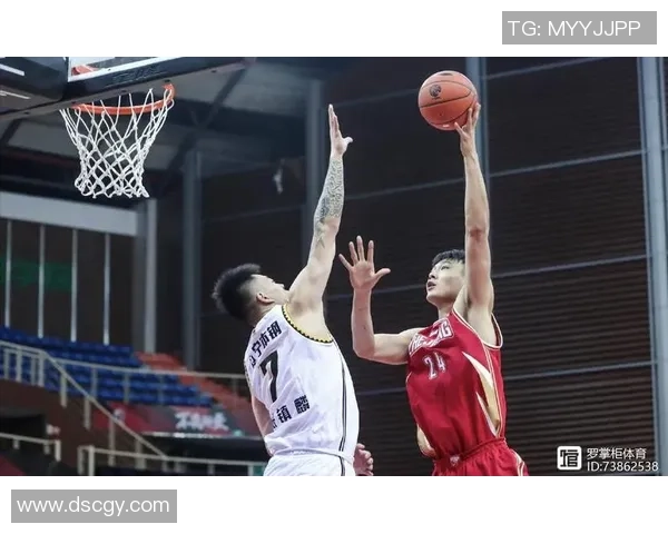 南京篮球队在冠军赛中的速度优势分析与表现点评