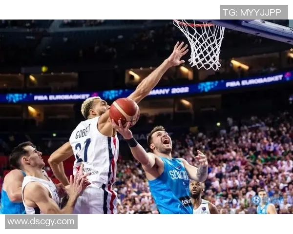 杭州网球队在欧锦赛中的团队协作展现出色表现引发关注与赞誉